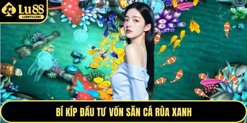 Bí kíp đầu tư vốn săn cá rùa xanh