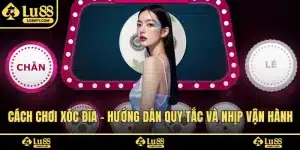 Cách Chơi Xóc Đĩa