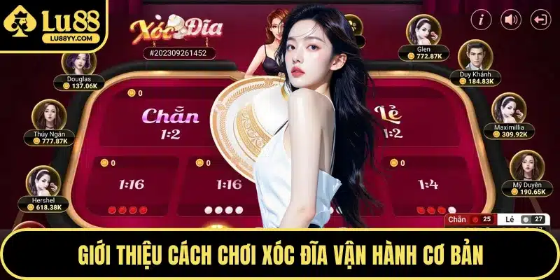 Giới thiệu cách chơi xóc đĩa vận hành cơ bản